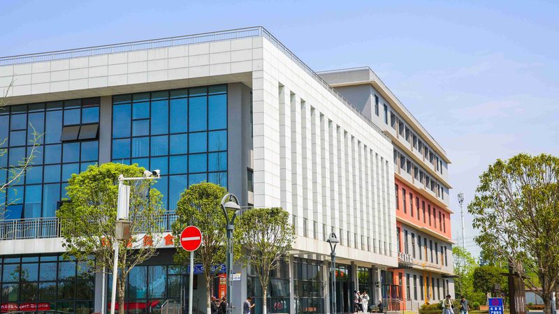 深圳电子科技公司代理政策：揭秘背后的逻辑与考量